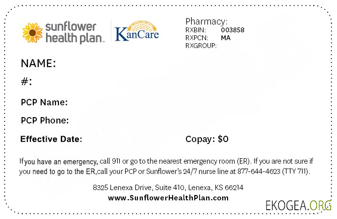 Carte d'assurance maladie du Kansas
